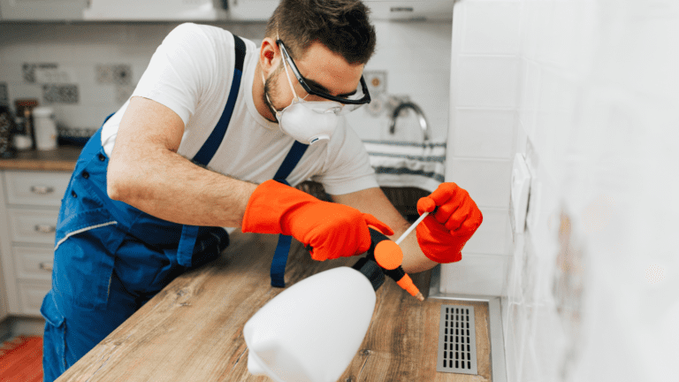 5 Common Signs That You Need to Call an Exterminator