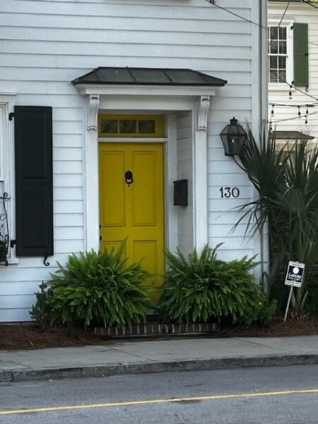 Charleston's Vibrant Palette: Exploring the Colorful Doors That Paint the Town