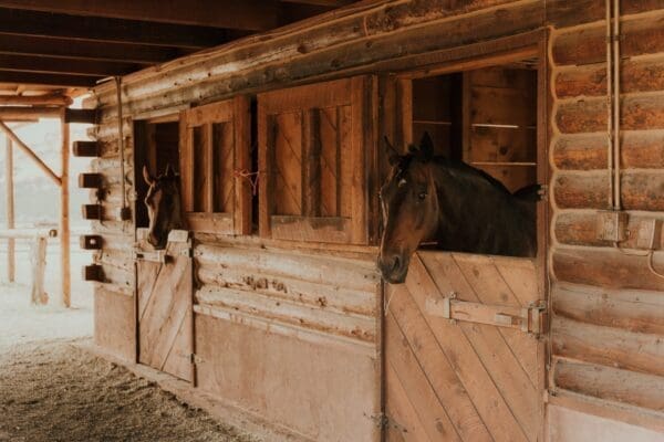 Barn's Design: How It Impacts Your Horses' Health and Well-Being