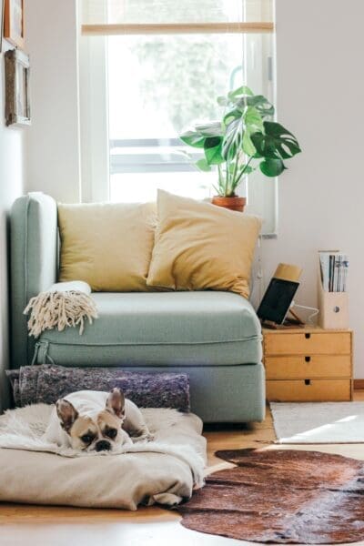 7 Steps & Tips To Help You Find The Perfect Family Home