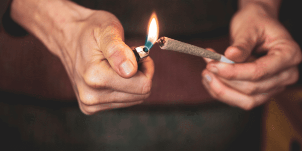 Why Biodegradable Pre Roll Tubes are Trending