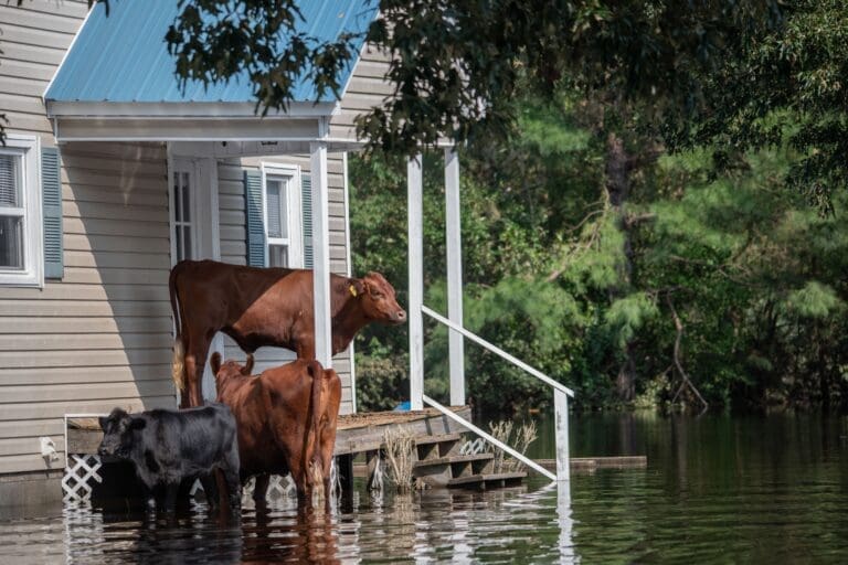 Understanding the Factors That Affect Flood Insurance Costs in Ohio