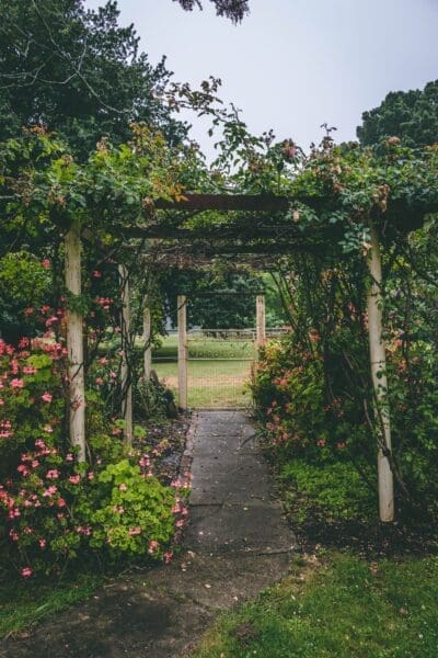 The Top Gardening Challenges That You Will Experience In Australia