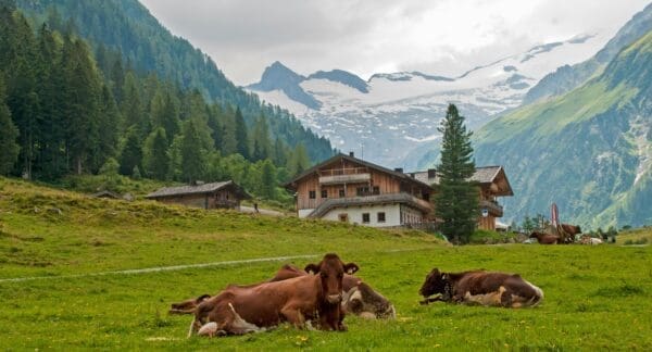 Escape to the Countryside: Top Picks for Rural Hotel Retreats