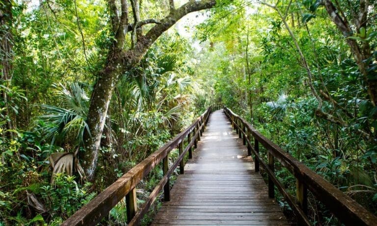 Florida Vacation: Top National Parks To Visit