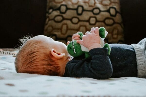 The Benefits of an Organic Baby Rattle