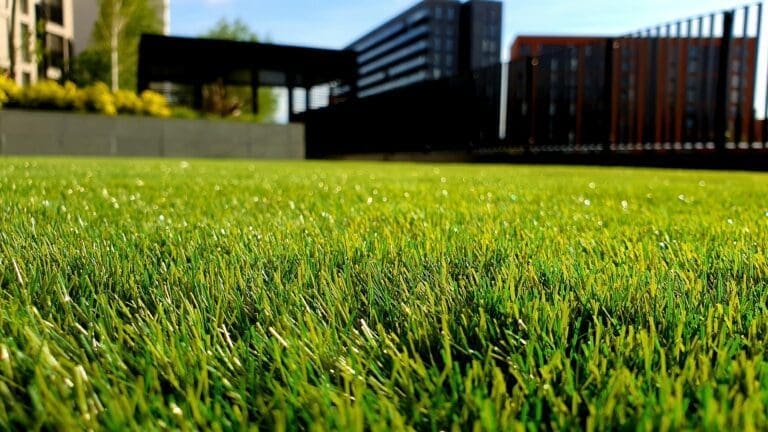 How To Spruce Up Your Yard With Artificial Grass