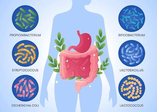 Biofema Probiotics- Sarah's Recovery Story