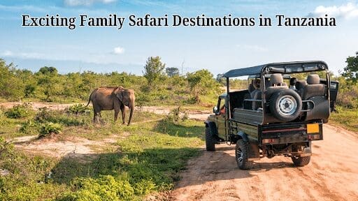 Exciting Family Safari Destinations in Tanzania