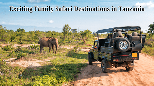Exciting Family Safari Destinations in Tanzania