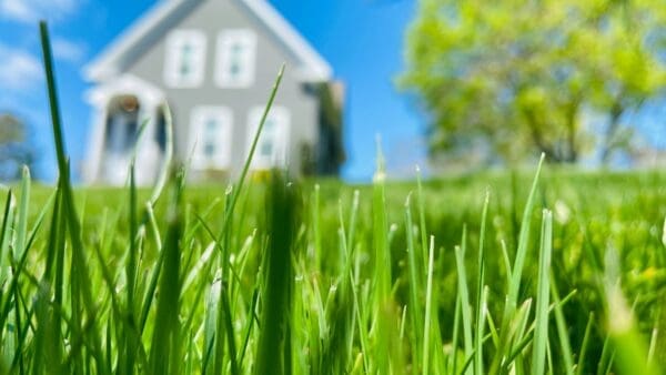 The Benefits of Aerating Your Lawn: Enhancing Turf Health