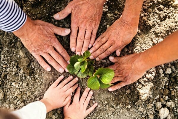 Steps to Maintain Sobriety in a Supportive Living Environment