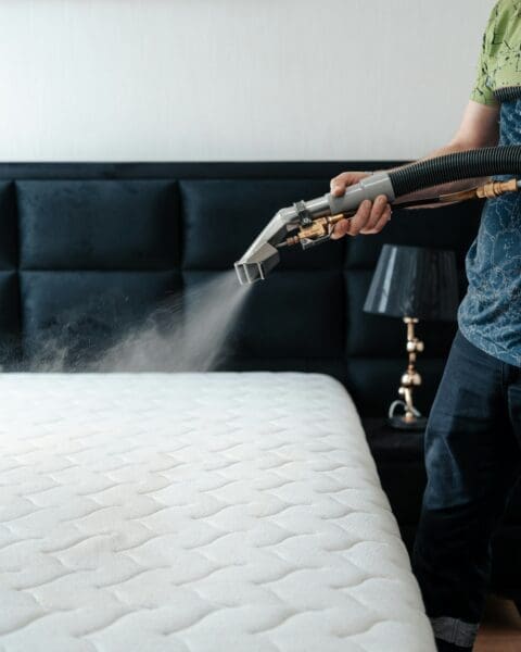 Steam Cleaners: The Ultimate Solution When It Comes To Hygienic Cleaning