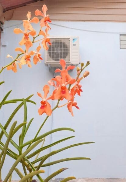 Fixing Your Air Conditioner on a Budget