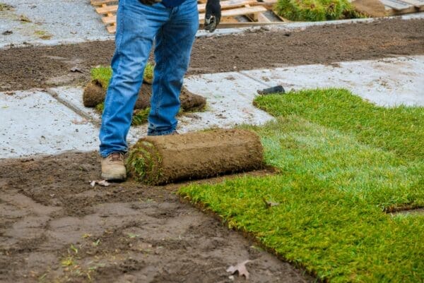 How To Choose A Turf Supplier Sydney?