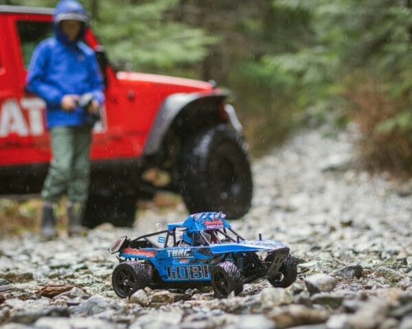 3 Essential Considerations to Make Whenever You Want To Purchase a Remote Control Buggy