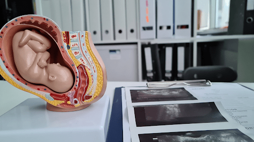 19 Important Facts About Abortion Care