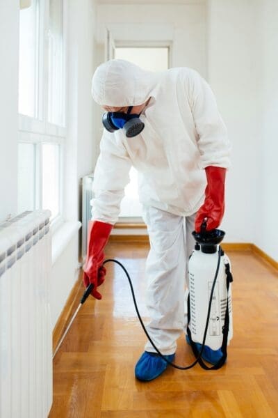 Effective Pest Control Tips for a Healthier Home