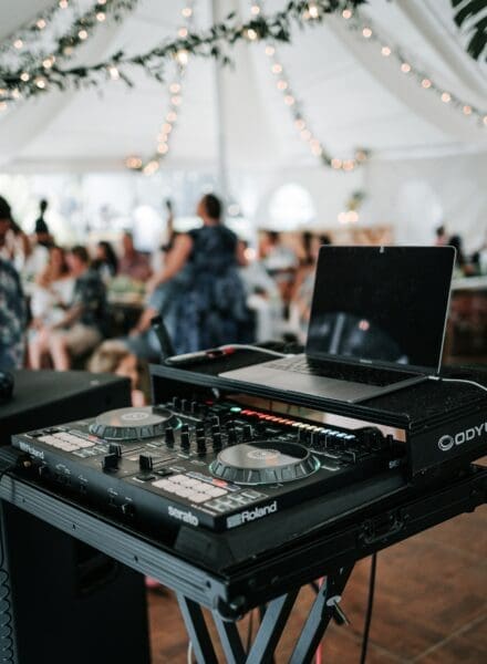 Professional Wedding DJ