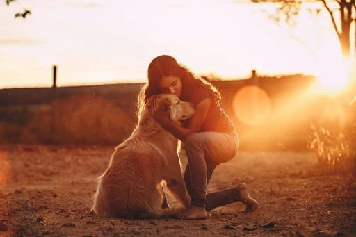 6 Essential Tips for First-Time Emotional Support Animal Owners