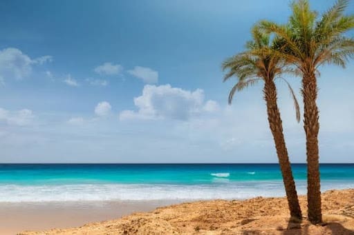 From Ancient Ruins to Modern Marvels: Saudi Arabia’s Top Tourist Attractions