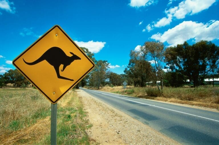 Several Great Reasons to use an Agent to Gain an Australian Skilled Migrant Visa