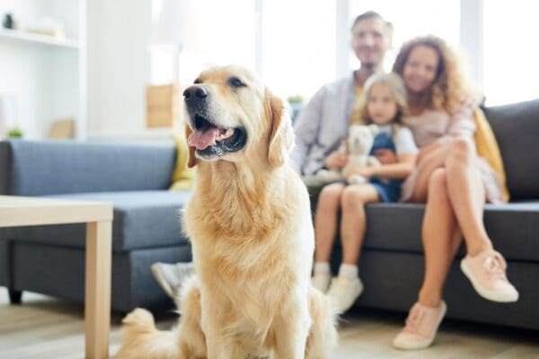 Managing Family and Pet Expenses Without Breaking the Bank