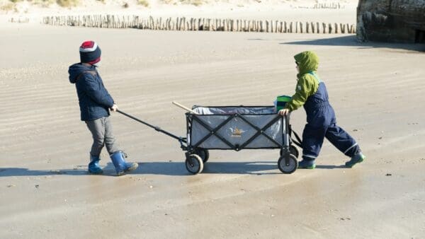 Why a Folding Wagon is a Game-Changer for Stress-Free Outings with Kids