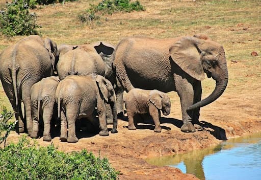 Best Places to Visit in South Africa