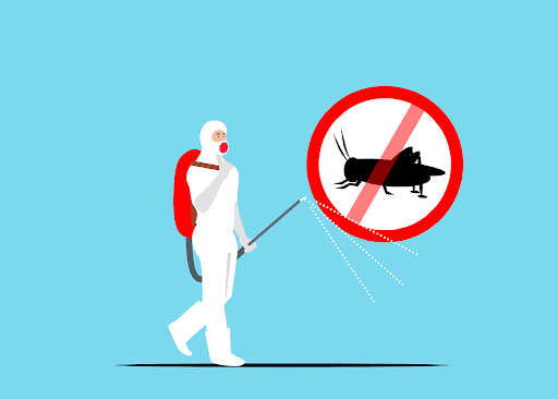 What to Do When You Discover Pests in Your Home