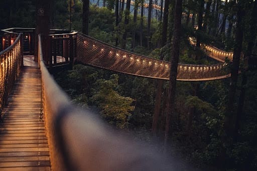 Family Vacation Bucket List: Why Gatlinburg Should Be on Top