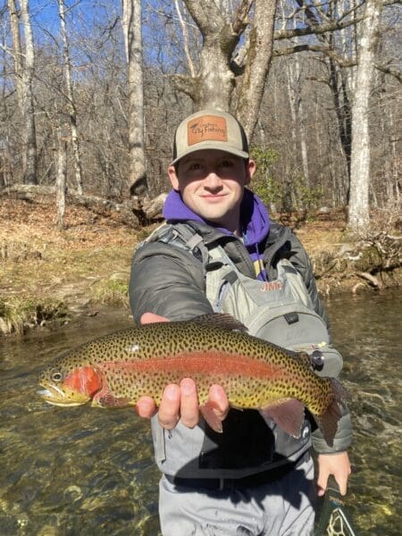 How Guided Fly Fishing Can Help You Catch More Fish
