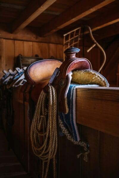 The Benefits of Investing in High-Quality Saddles for Horseback Riding Enthusiasts