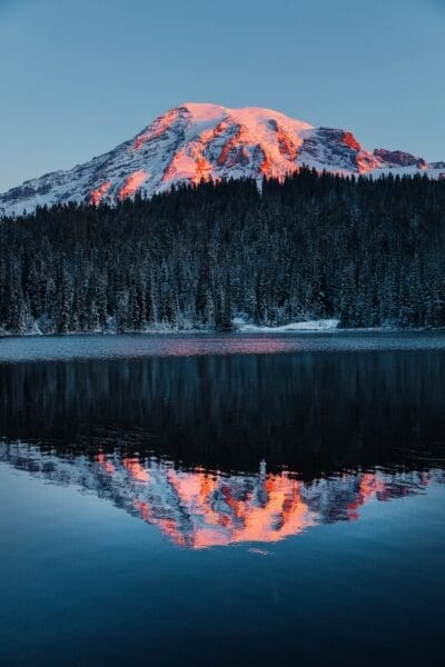 8 Reasons Why You Need To Visit Mount Rainier In 2025