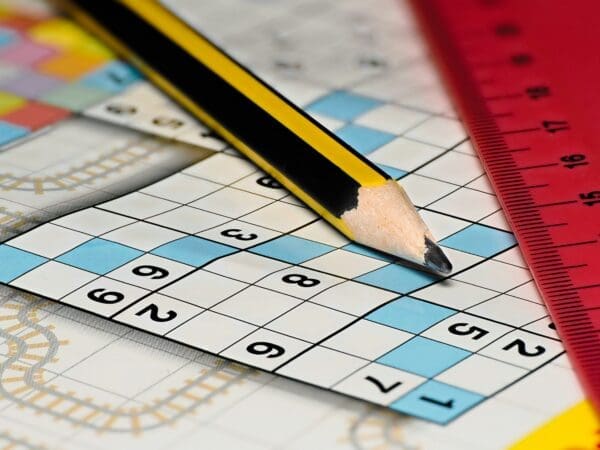 Engaging Minds: The Art of Logic Puzzles and Mathematical Games