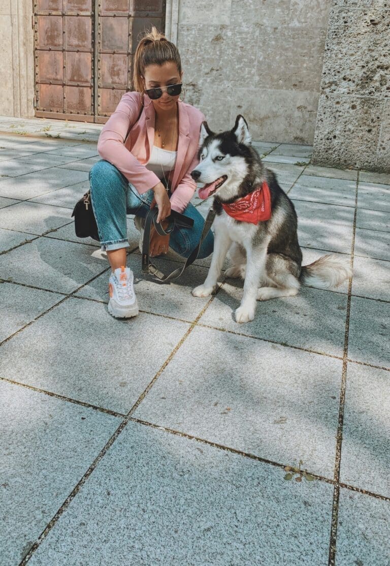 From Training to Travel: New Year’s Resolutions for You and Your Pup