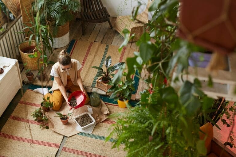 Tips for Getting Your Home Ready for a Holiday Open House