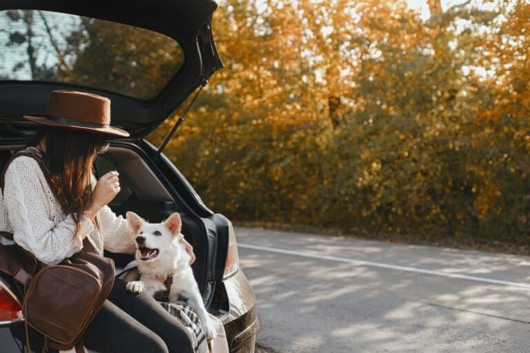 Dog-Friendly Pit Stops: Where to Take Breaks on a Long Road Trip