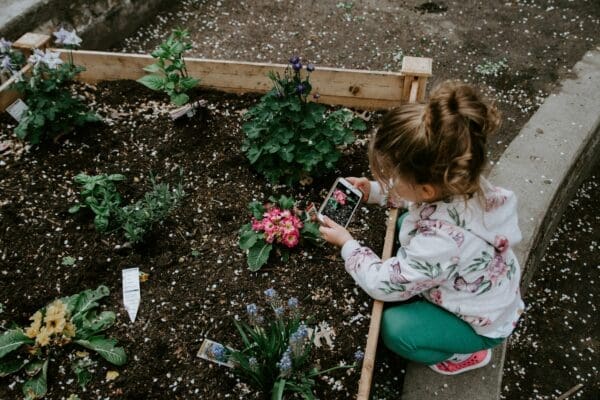 Outdoor Projects to Start This Weekend