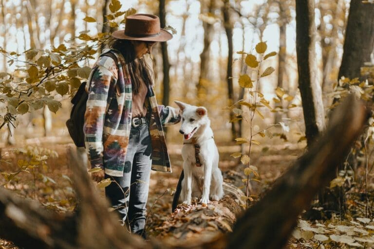 Checklist For First-Time Dog Owners