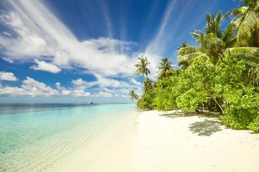 Maximize Fun And Savings On Your Next Beach Adventure With These 4 Tips