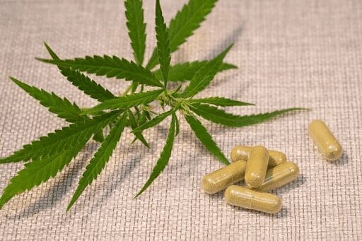 Does CBD work as a Painkiller?