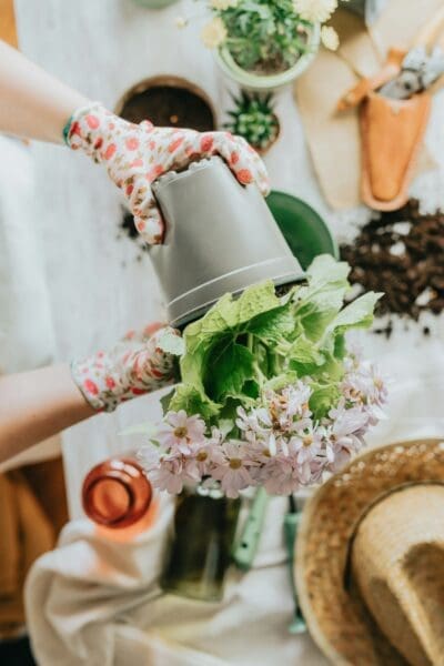 Dirt, Seeds, and Serenity: How Gardening Becomes a Lifeline for Stressed Moms