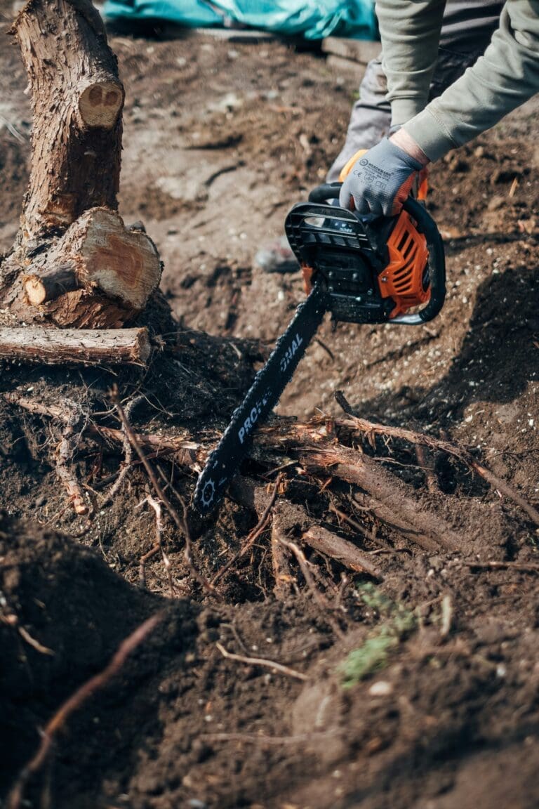 How To Choose The Right Chain For Your Chainsaw?