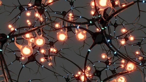 Enhancing Cognitive Function Through Personalized Brain Health Strategies