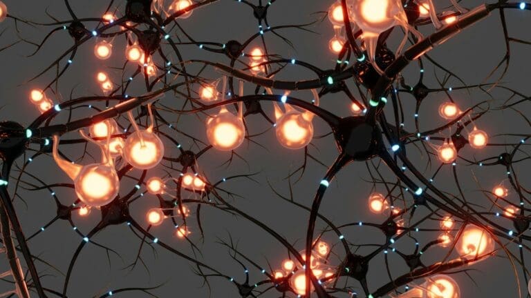 Enhancing Cognitive Function Through Personalized Brain Health Strategies