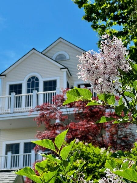 Boosting Your Home's Curb Appeal Instantly with Professional Window Replacement Services