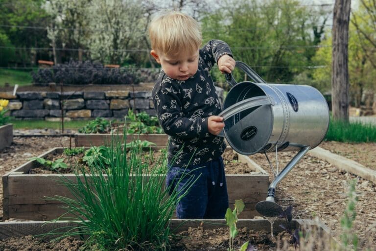 How to Create a Toddler-Friendly Outdoor Space