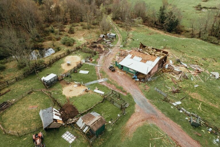 Emergency Restoration Services: How Companies Help After Disaster Strikes