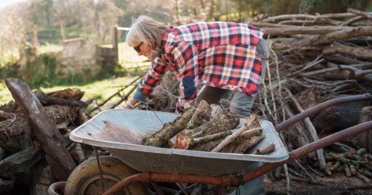 How to Start a Small Homestead on a Budget
